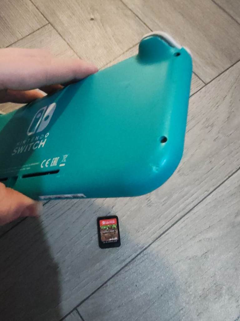 Nintendo switch lite 