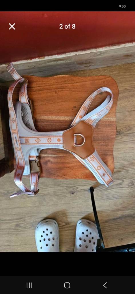 Dog Rope leash and Harness