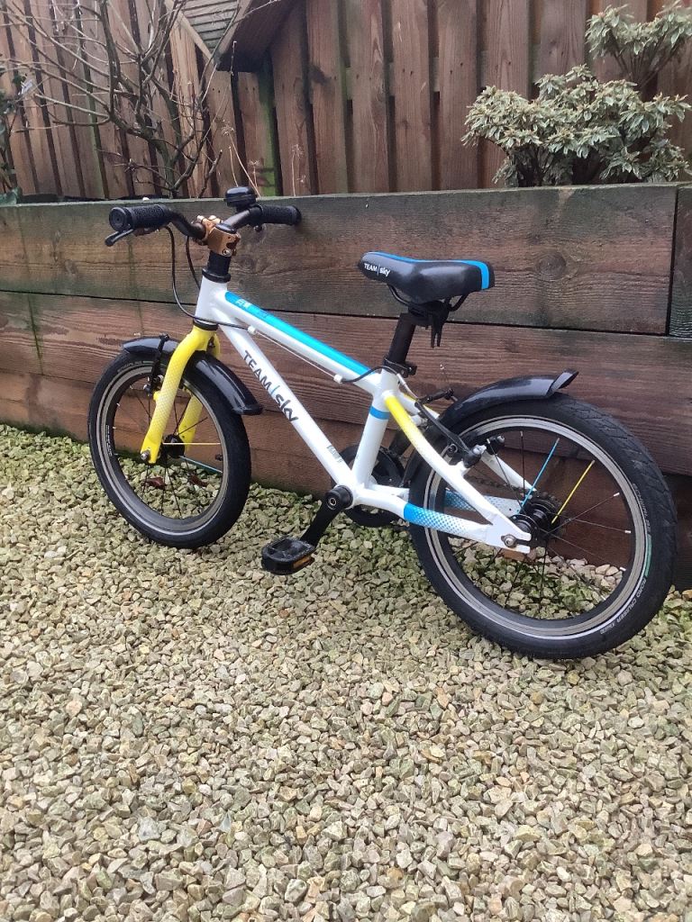 image for Frog 48 kids bike