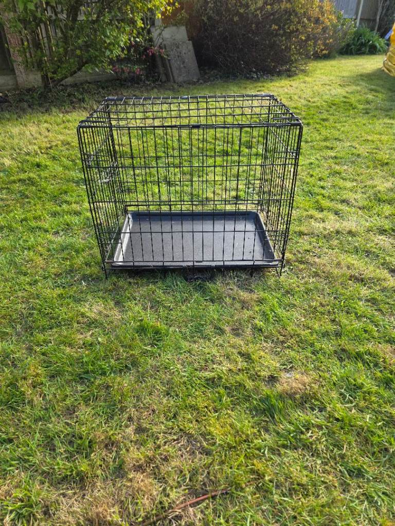 Dog cage 