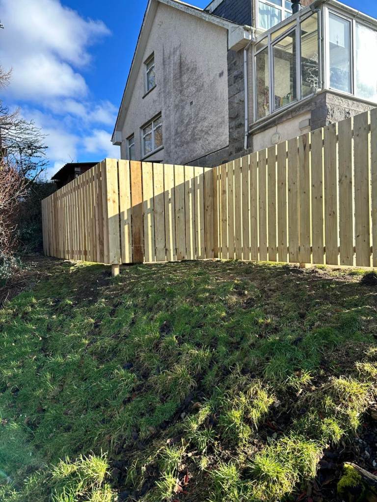 Fencing and decking 