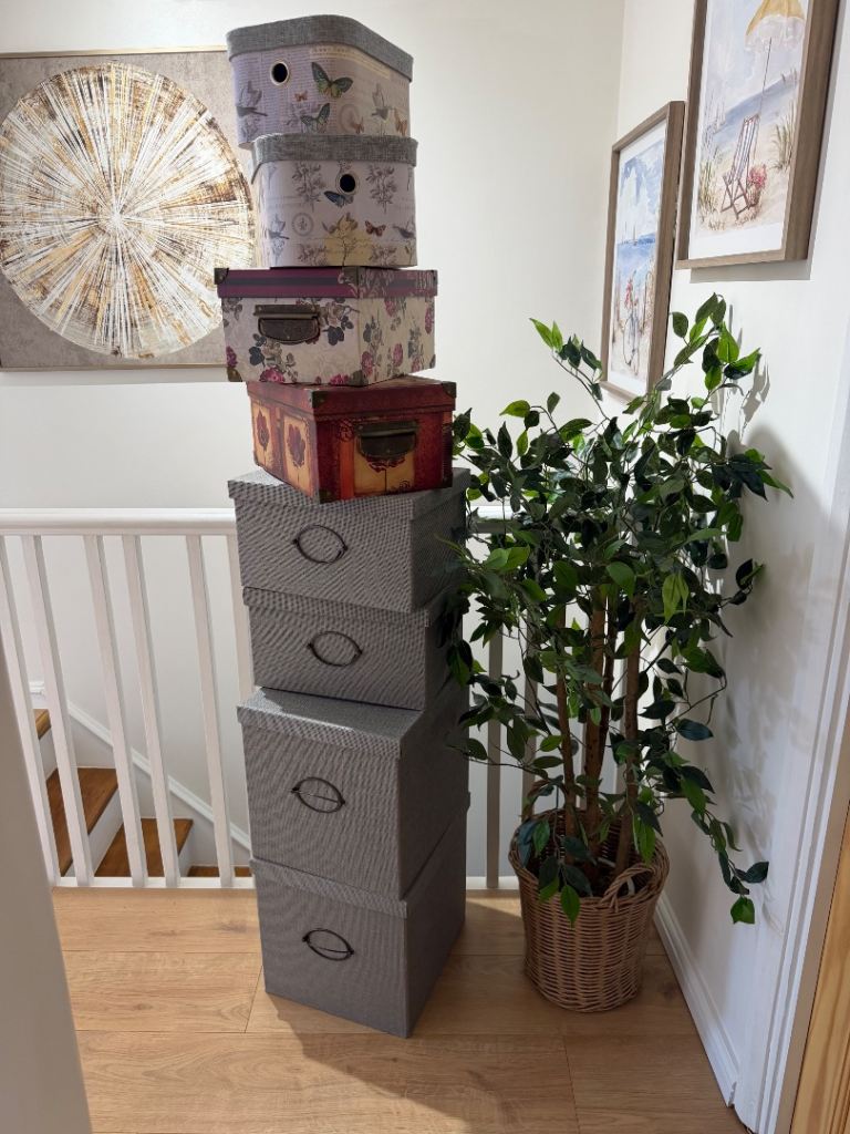 Storage boxes