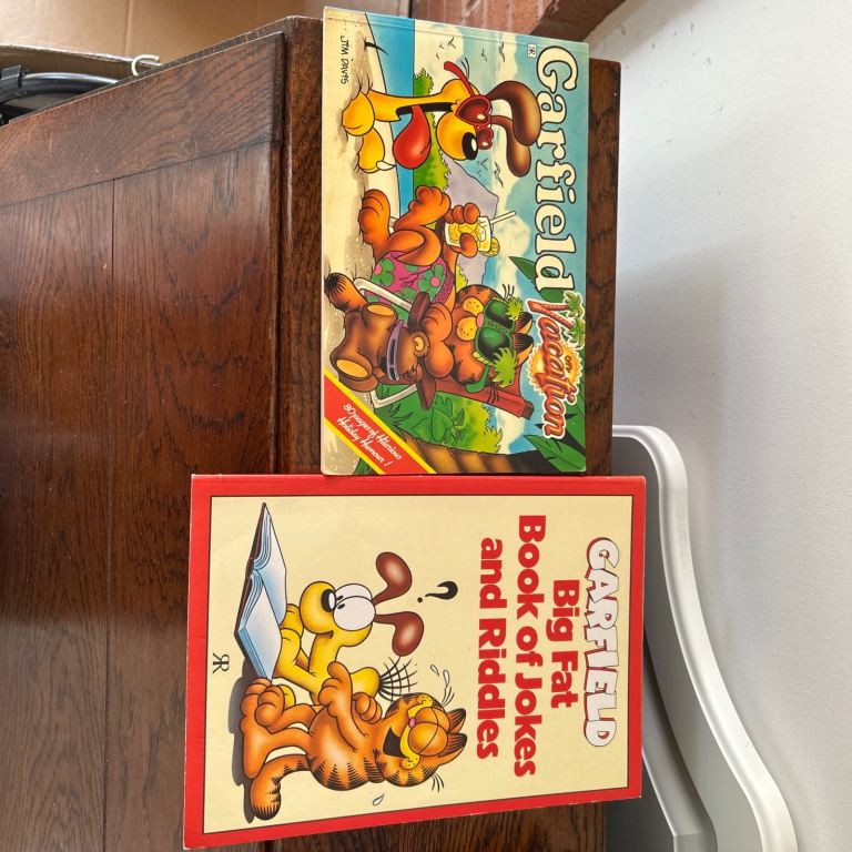 Garfield On Vacation and Big Fat Book of Jokes and Riddles Jim Davis