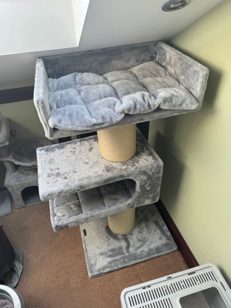 RHR Large Maine Coon Cat Tree/Bed