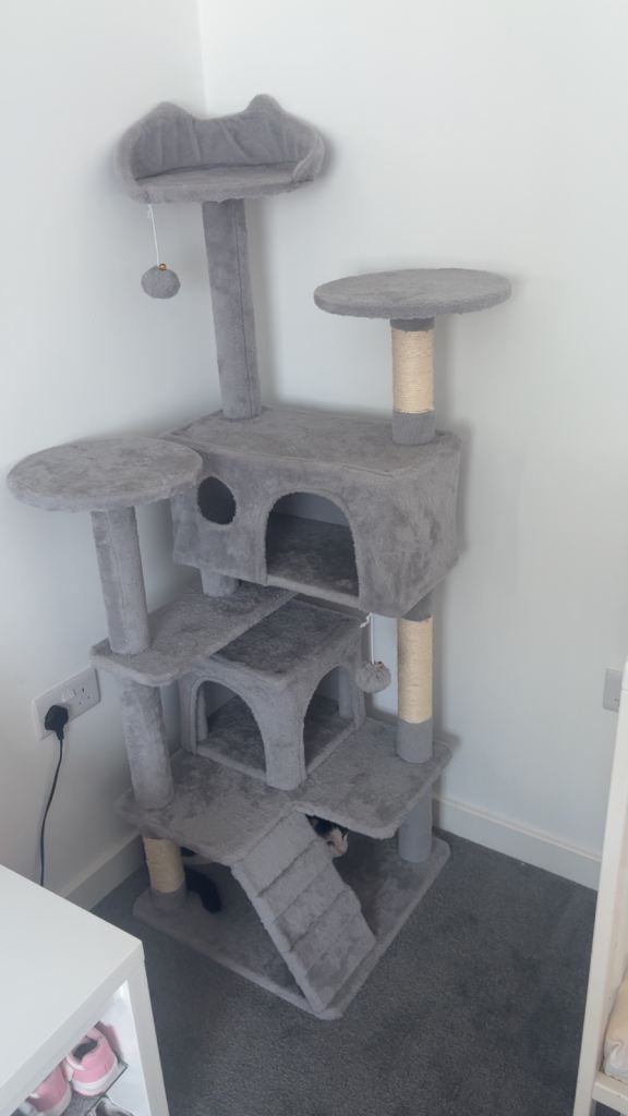 Cat scratch & climbing post 