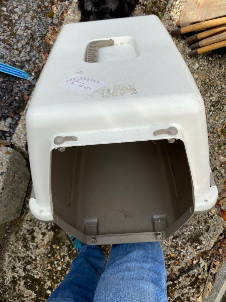 Cat carrier 
