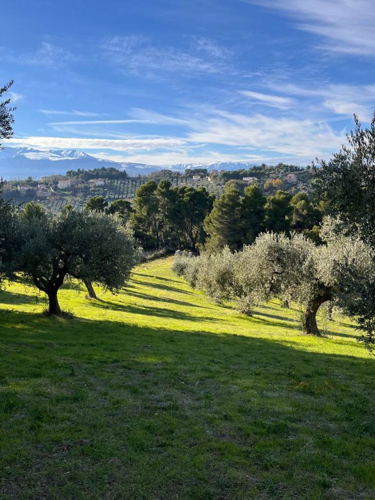Panoramic land for sale with a building permit in Italy, Chieti (Abruzzo)