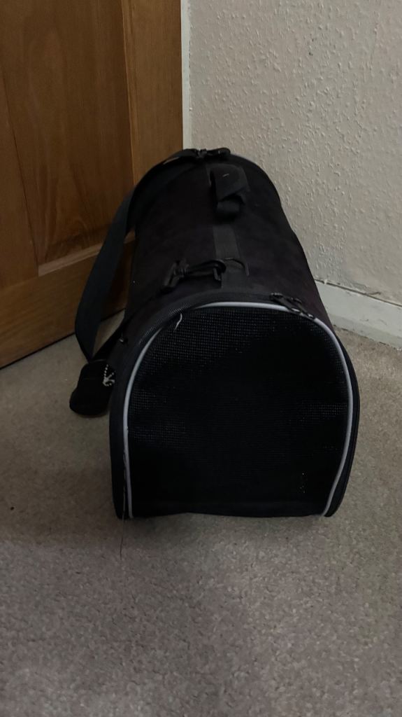 Pet Carrier With Carry Handle
