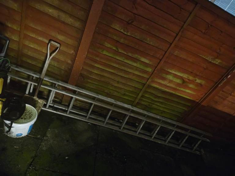 Double set of roofing ladders