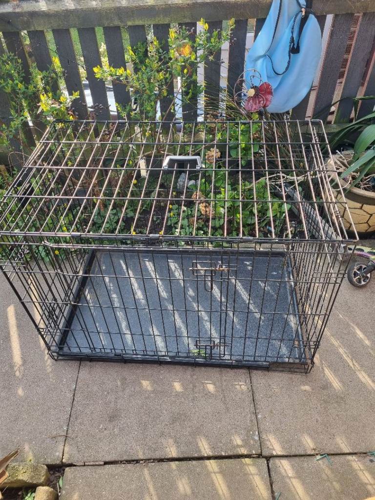 Dog crate 