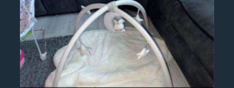 Baby Playmat with Arches and Hanging Toys – Good Condition