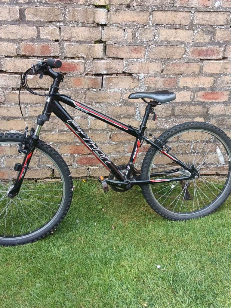 Python Rock Mountain Bike