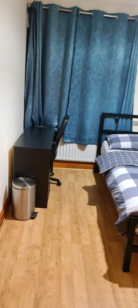 Double Room for Cool Cats