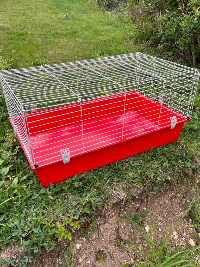 Indoor Guinea pig cage