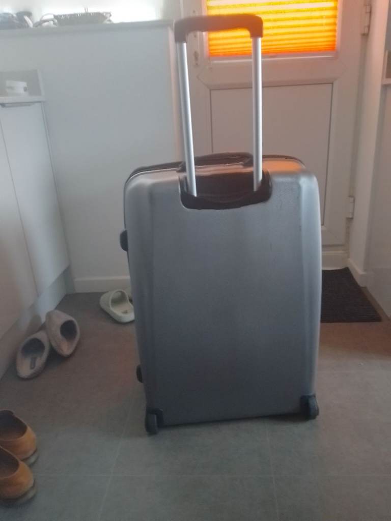 Large Carlton suitcase