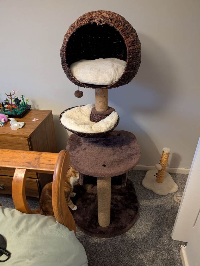Cat Tree
