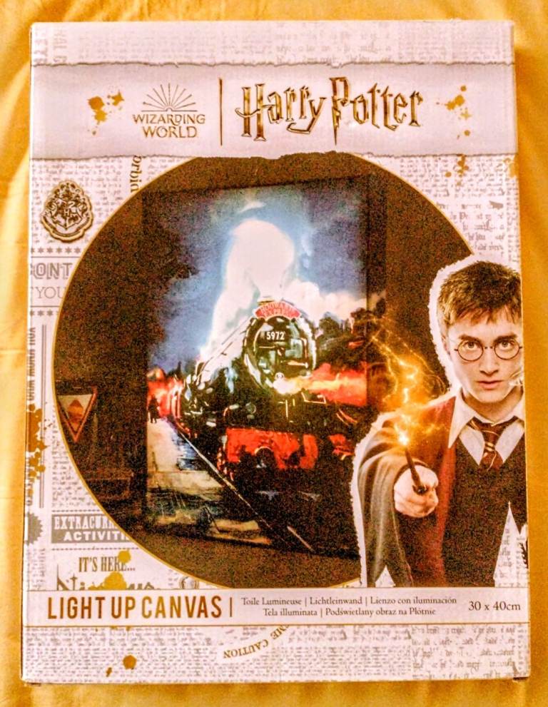 HARRY POTTER Light up Canvas 