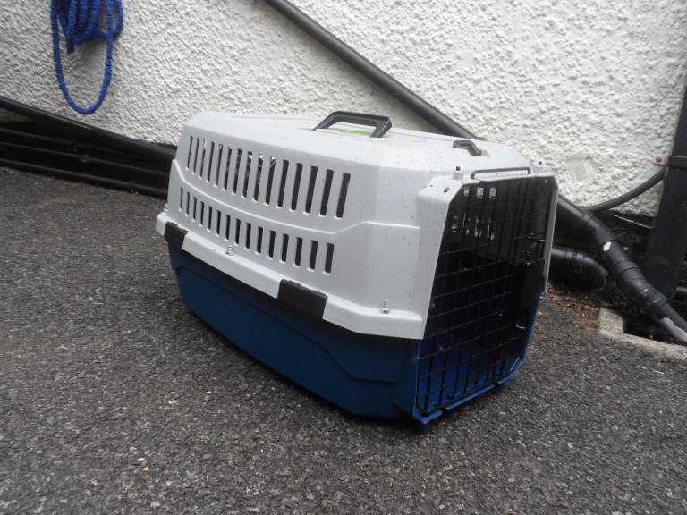 cat basket/carrier