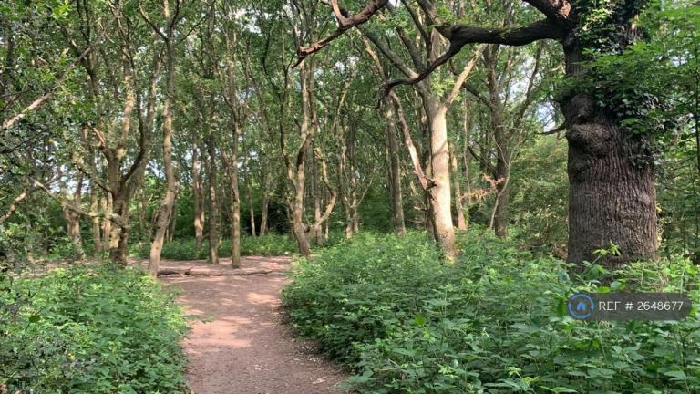 2 bedroom flat in Dunnock House, London, NW9 (2 bed) (#2648677)