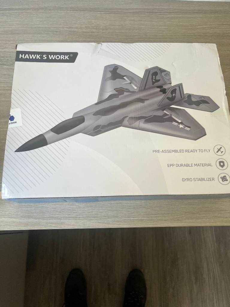  HAWK'S WORK 2 Channel Airplane, F-22 RC Plane Ready to Fly, 2.4 GHz Remote Control Airplane