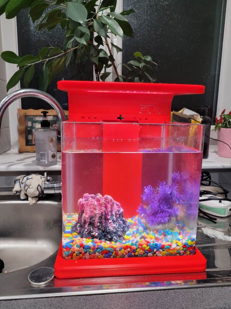 Small fish tank