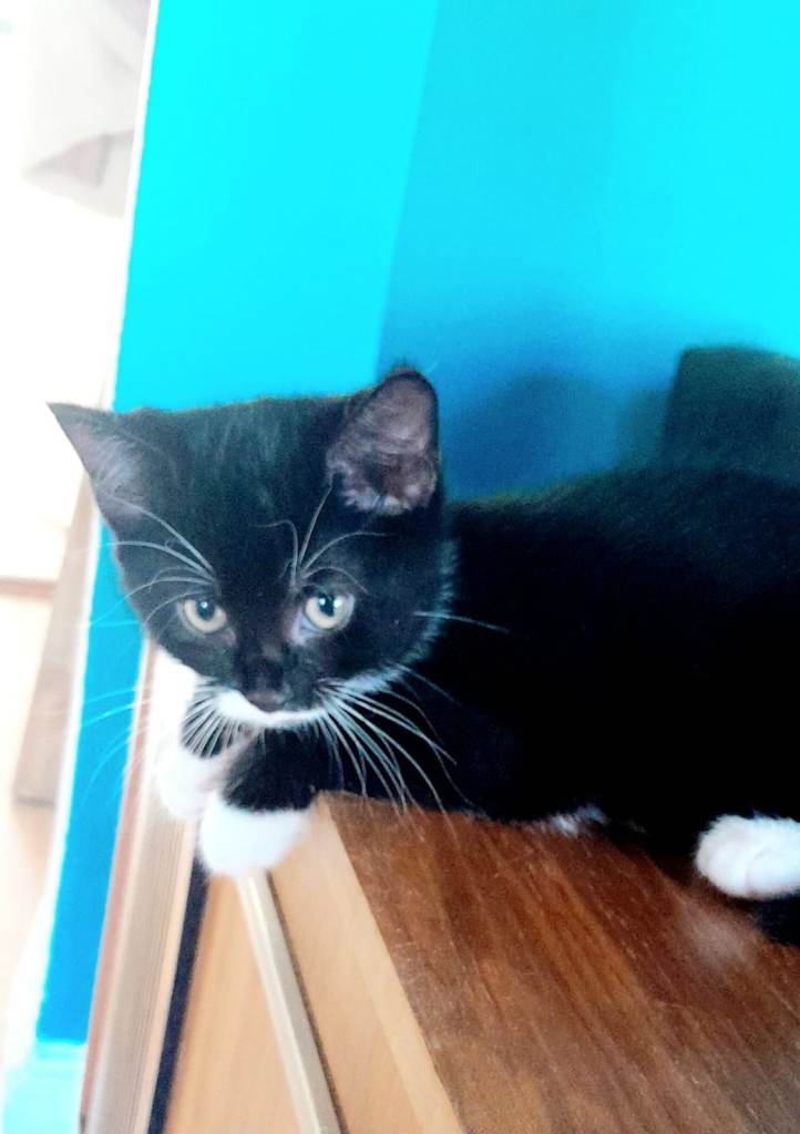 VERY UNIQUE Fully Black 