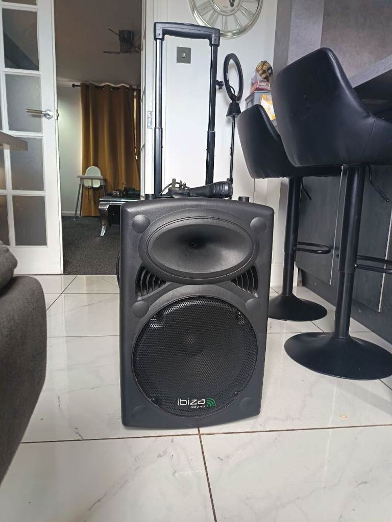 Ibiza sound portable speaker 