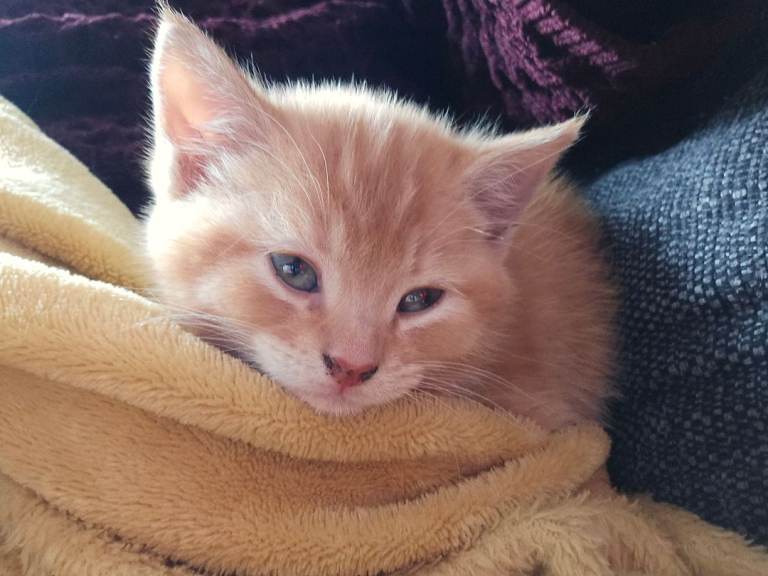 1 ginger girl left. 