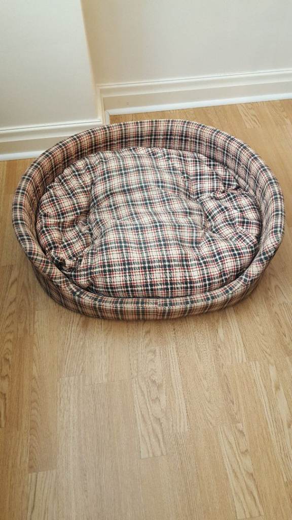 Bed dog