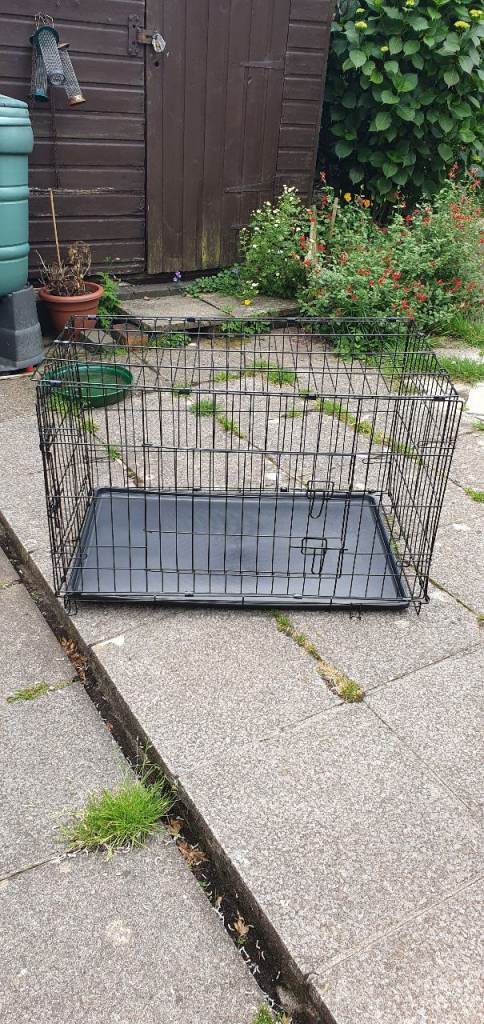 Dog Crate