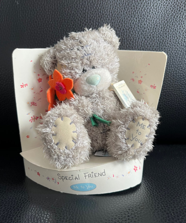 Me to You “Special Friend” Bear