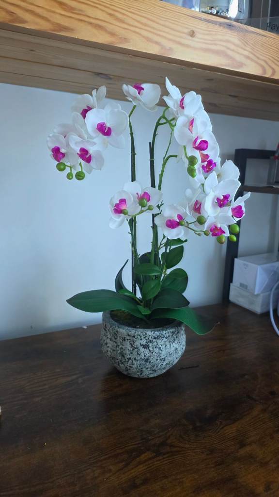 Artificial Orchid Plant in Pot – As Good As New