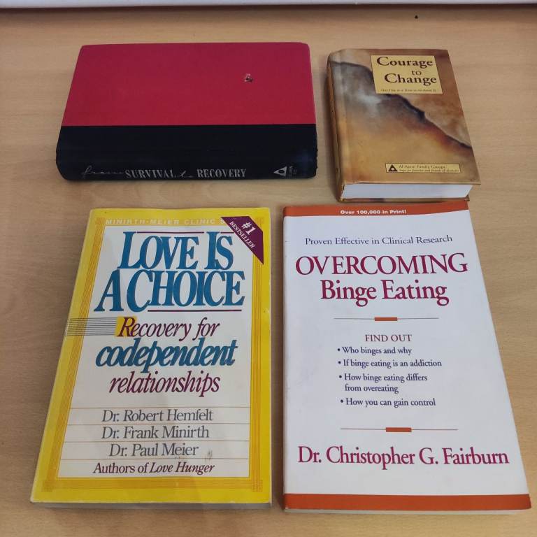 Recovery & Self‑Help Book Bundle – Al‑Anon, Codependency, Binge Eating – 4 Books
