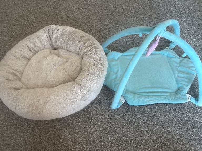 cat bed and play pen