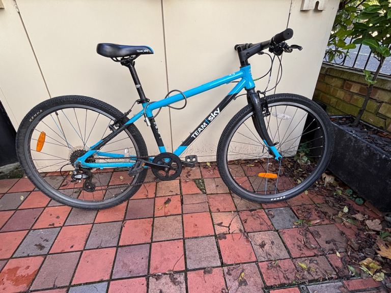 Frog 69 Team Sky Bike