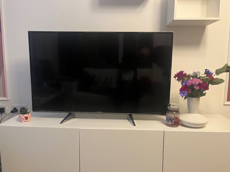 49” Panasonic TV