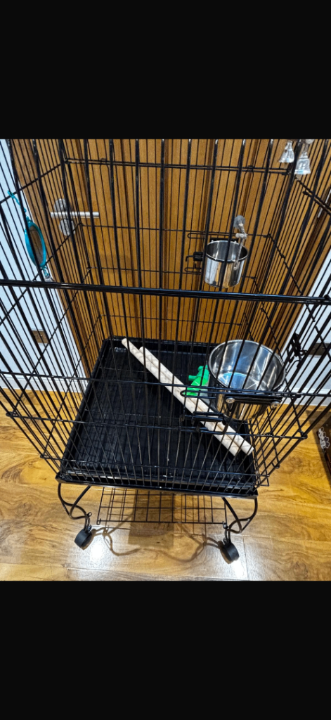 Bird cage 