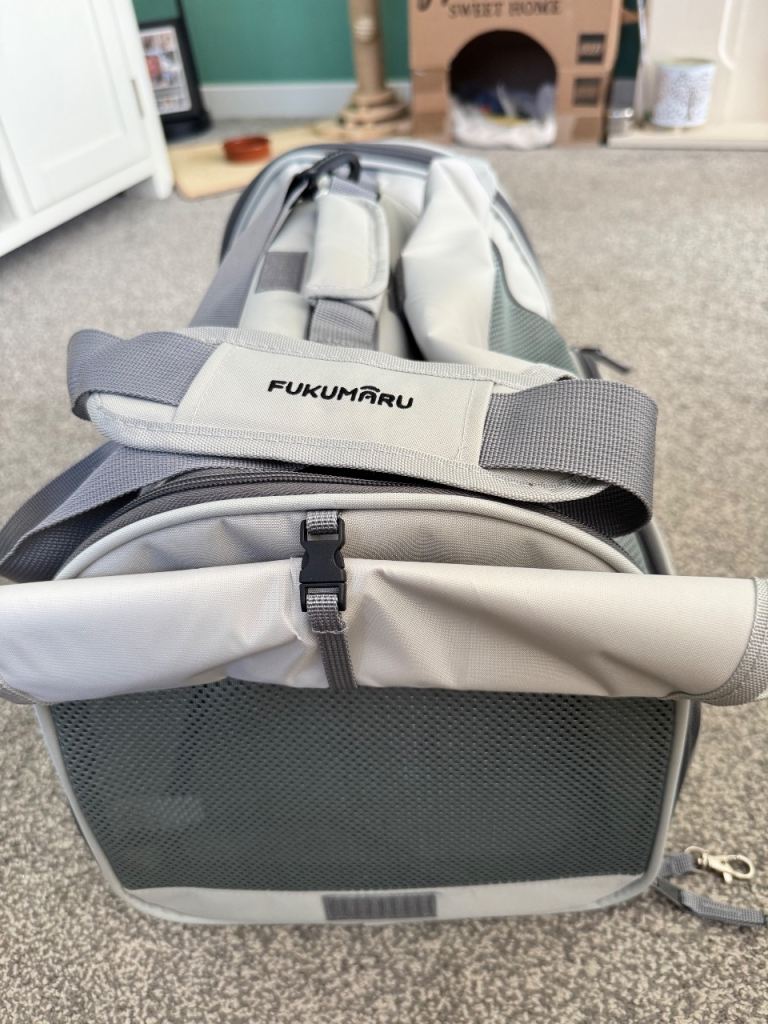 Cat/small dog pet carrier