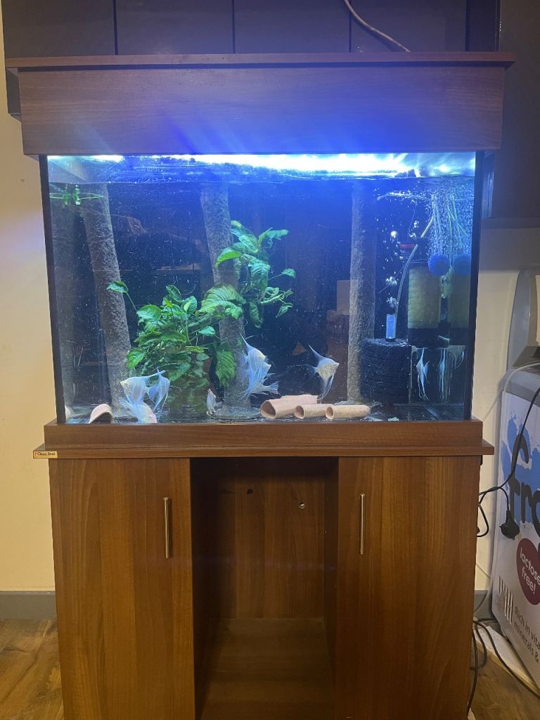 Fish tank
