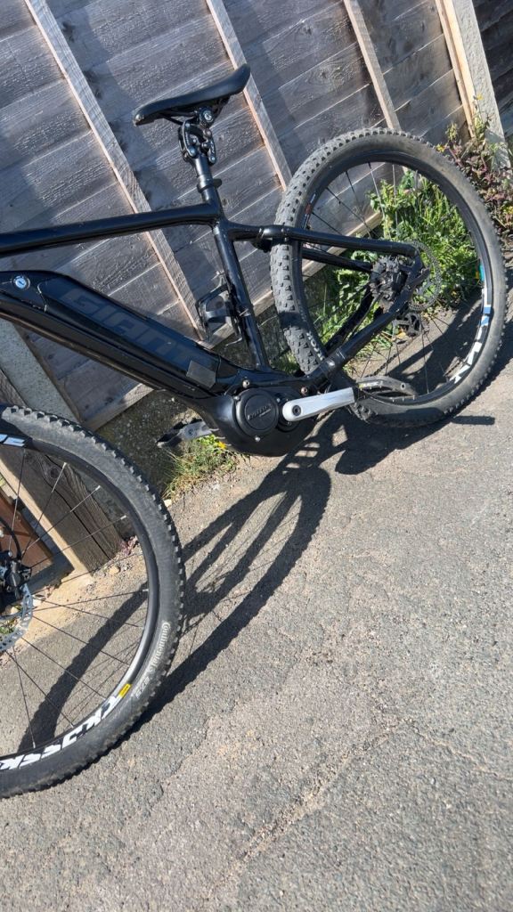 Peddle assist giant Rome e+