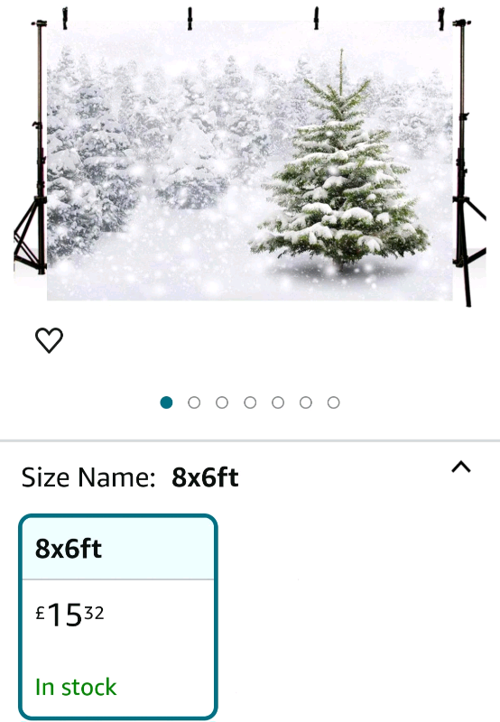 Bnip Christmas winter scene canvas backdrop 