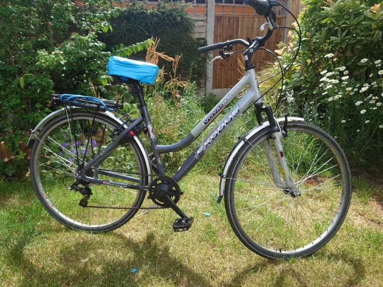 Dutch Ladies Bike