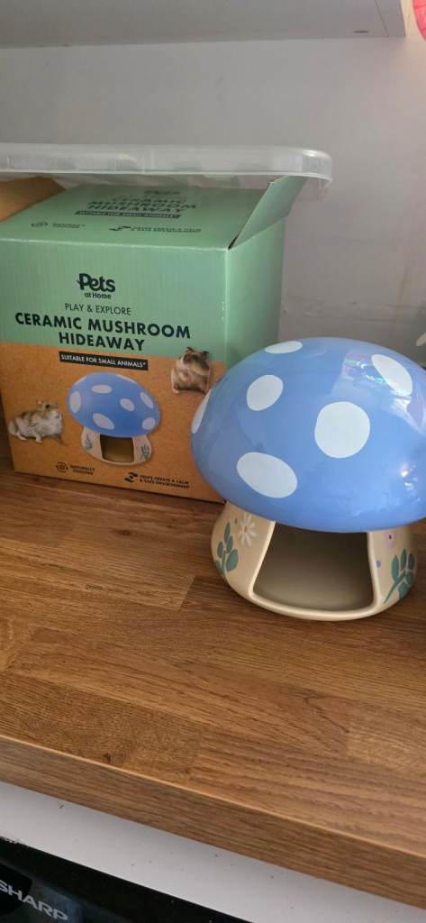 Pet hamster mouse gerbil hideaway house 