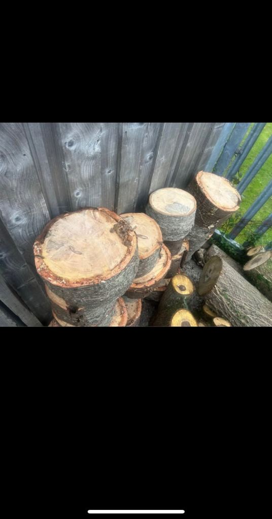 Some large/small yew boards for sale varying prices, aswell as beautifull chunks of monkey puzzle!