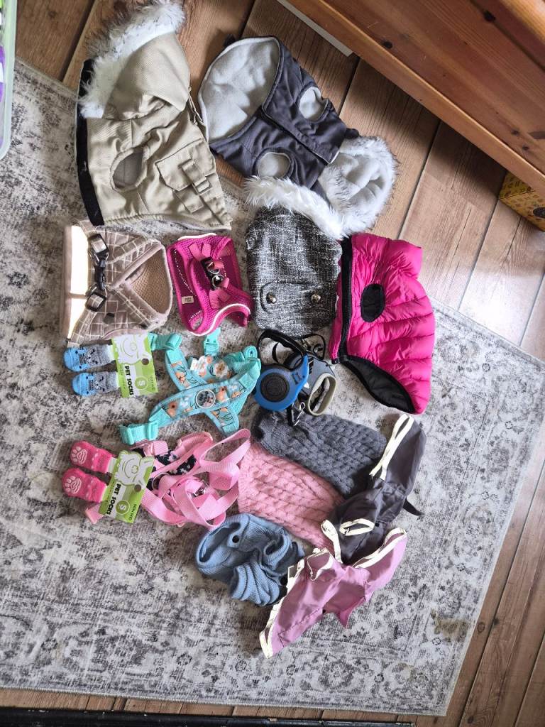Dog clothes 