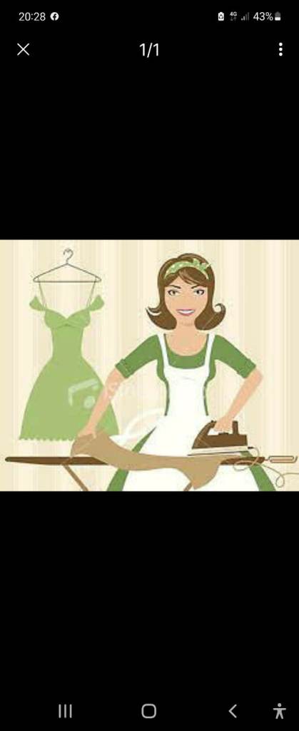 Ironing Only Offered. .£16 an hour. Oxford and Abingdon/