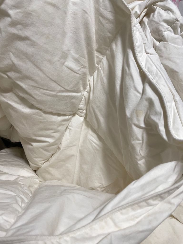 2 x double winter or summer white goose down duvets - £8 (Wallisdown)