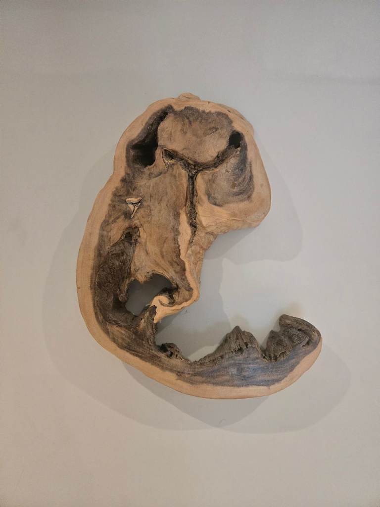  Wooden Wall Art genuine tree trunk 