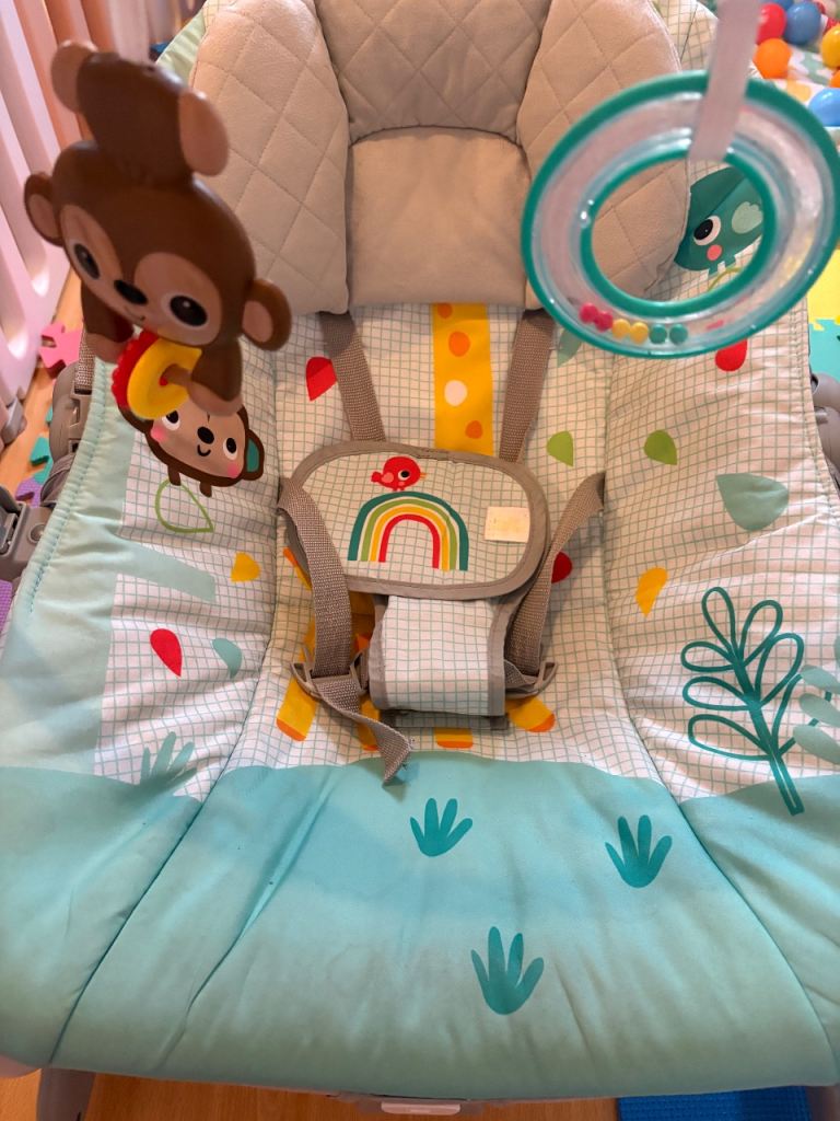 Bright Starts baby bouncer