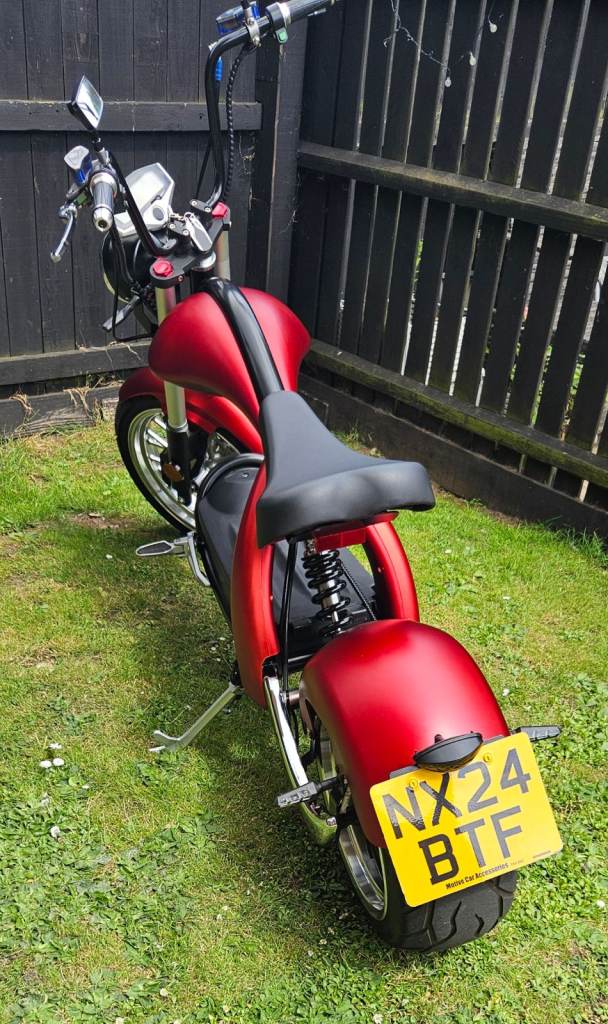 DOGEBOS E-HARLEY ELECTRIC ROAD BIKE 